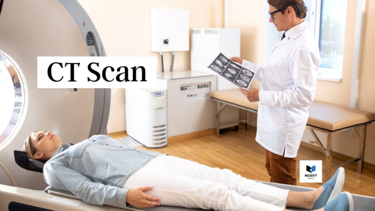 Ct Scan Purpose Results And Risks Ncert Infrexa