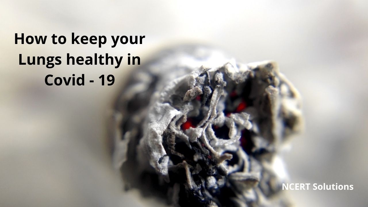 If you all want to keep your Lungs healthy