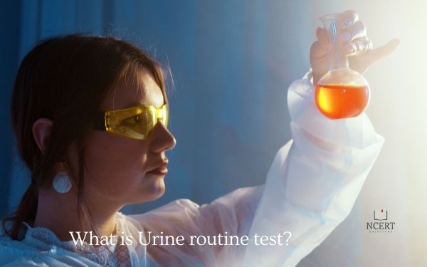 What is Urine routine test?