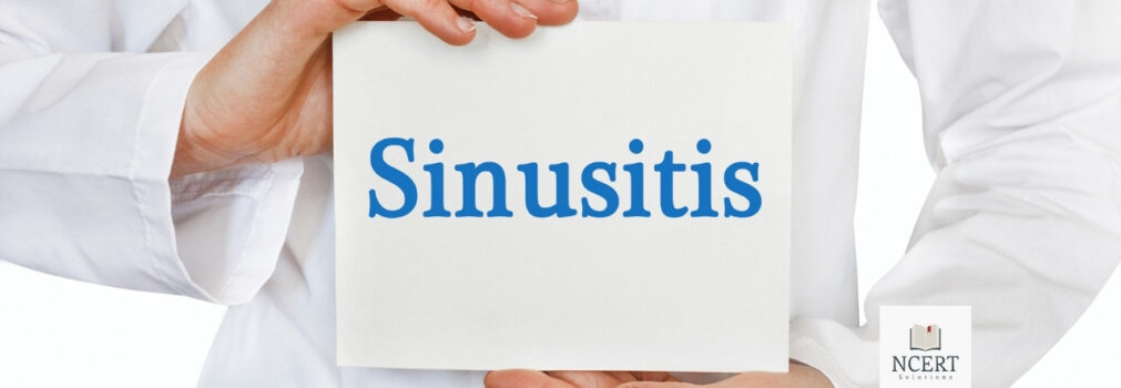 Sinusitis : Meaning, Symptoms and home remedies