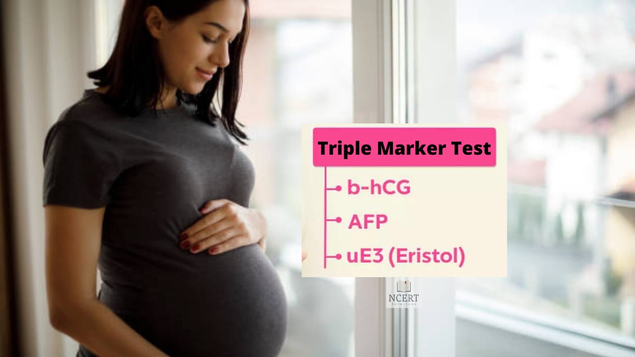Triple Marker Test in English