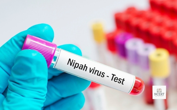 Diagnosis of Nipah virus - निपाह वायरस का निदान
