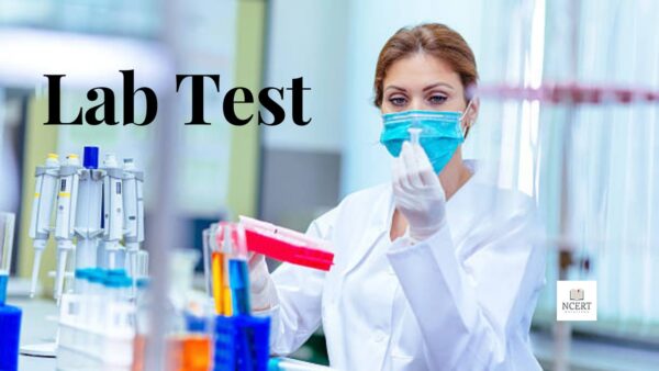 How Many Types Of Lab Tests Are There