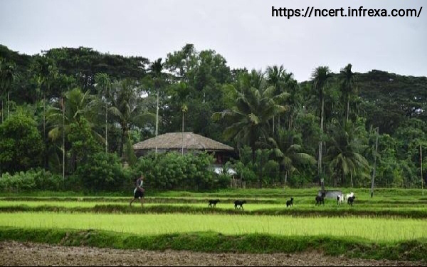 Andaman and Nicobar Island location
