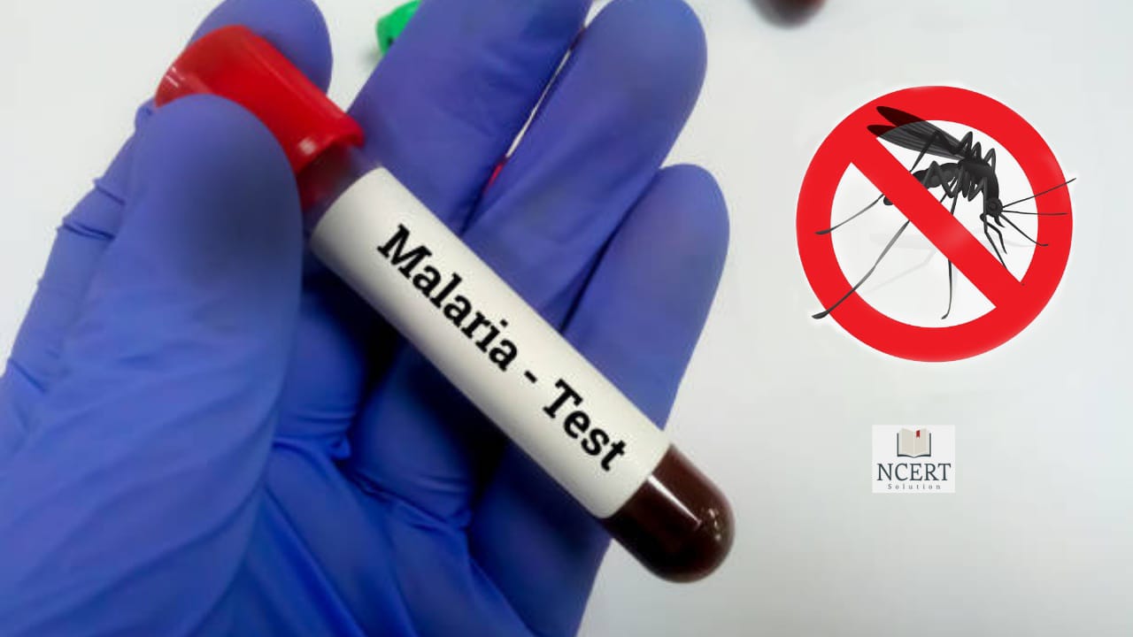 Malaria Test
