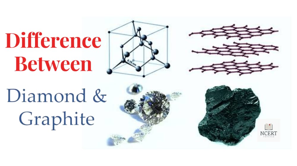 Difference Between Diamond And Graphite NCERT Infrexa