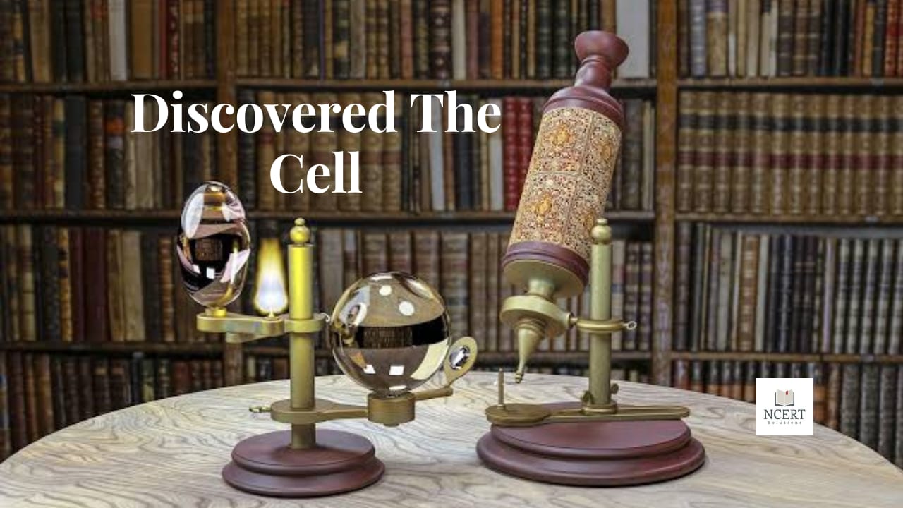 Who discovered the cell