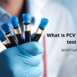 PCV in blood test