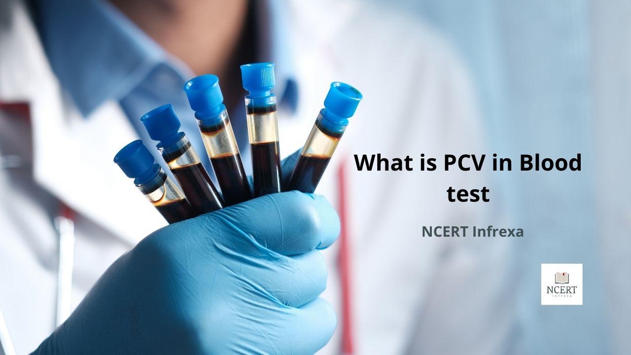 packed-cell-volume-what-is-pcv-in-blood-test-infrexa