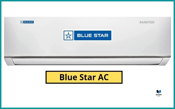 Blue Star 2 Ton 5 Star Inverter Split Air Conditioner (AC)