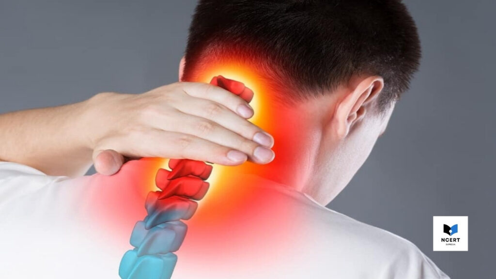 गर्दन दर्द या सर्वाइकल पेन क्या है? कारण, लक्षण और घरेलू उपचार