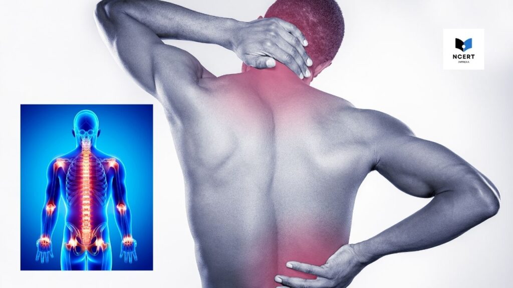 Dr. Ortho: कमरदर्द, कंधे का दर्द, गुठनों का दर्द के उपाय