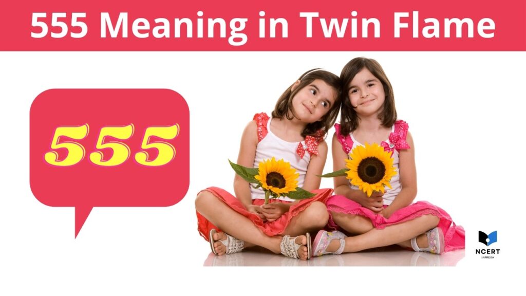 555 Meaning in Twin Flame