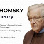 Chomsky Theory