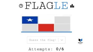 Flagle answer