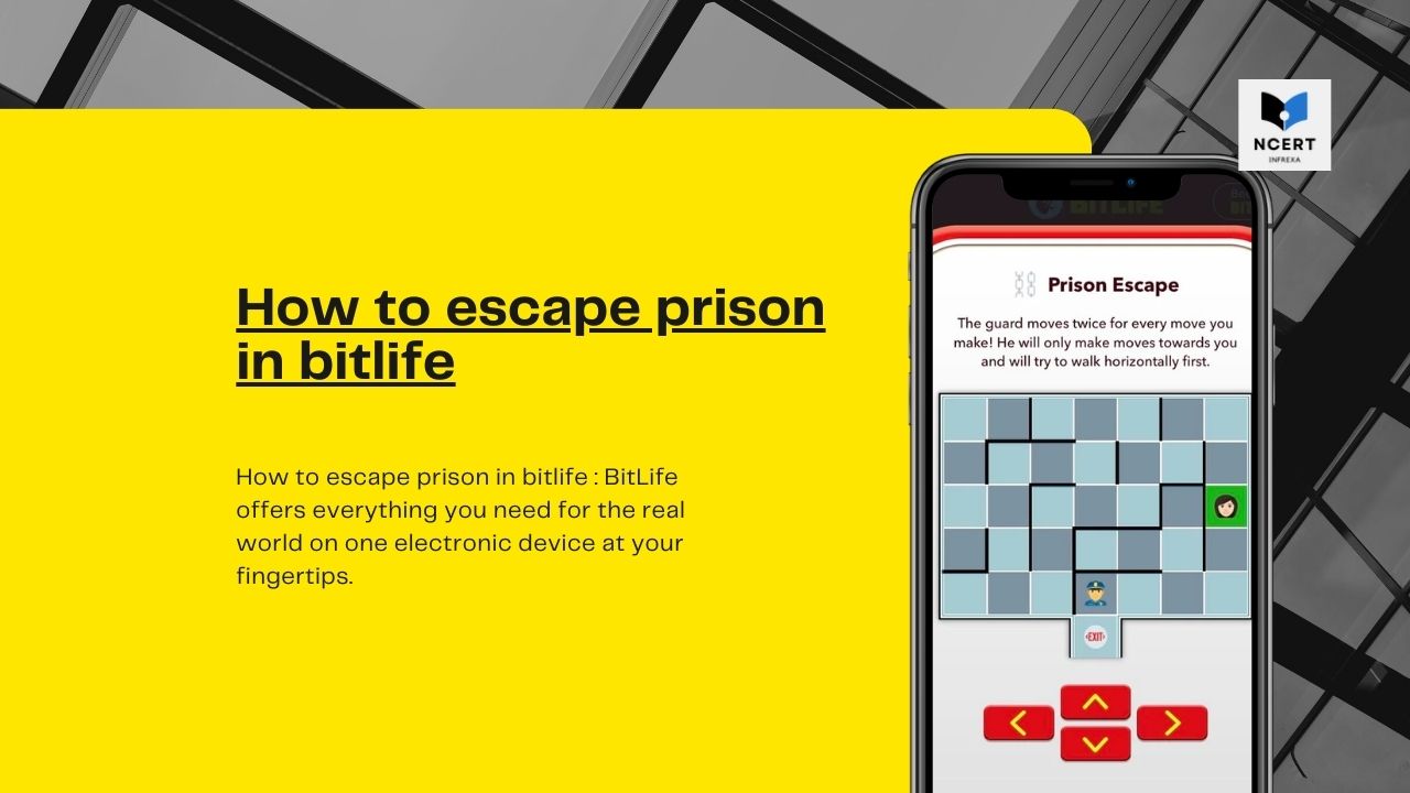 BitLife // 5x4/4x5 (map 2) Prison Escape 