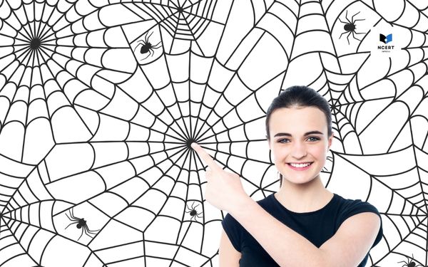 Pin the Spider on the Web - Halloween games