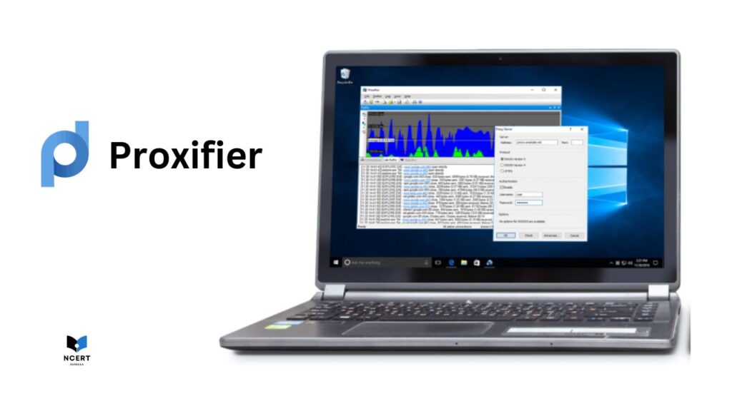 What is Proxifier