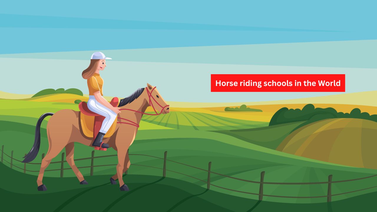 12 Best Horse Riding Schools in the World infrexa