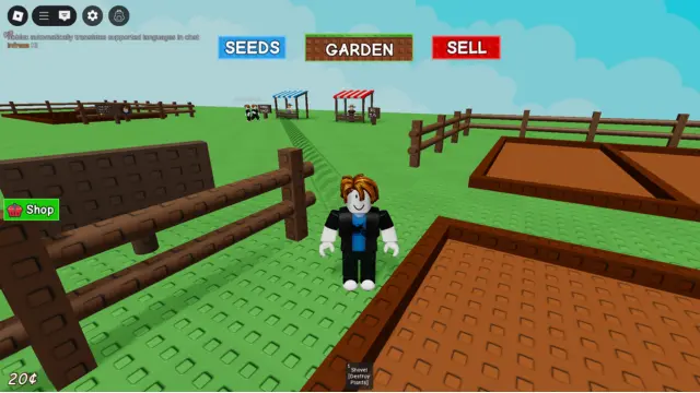 In game screenshot showing player - Grow a Garden
